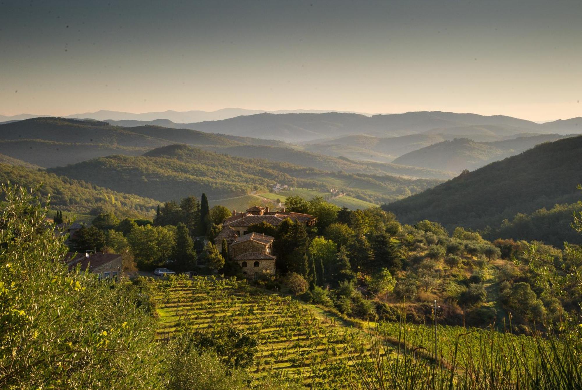 Tregole Apartment Castellina in Chianti Luaran gambar